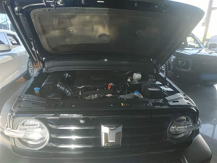 Фото 20 - Tank 300