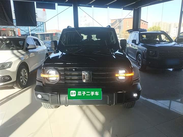 Фото 3 - Tank 300