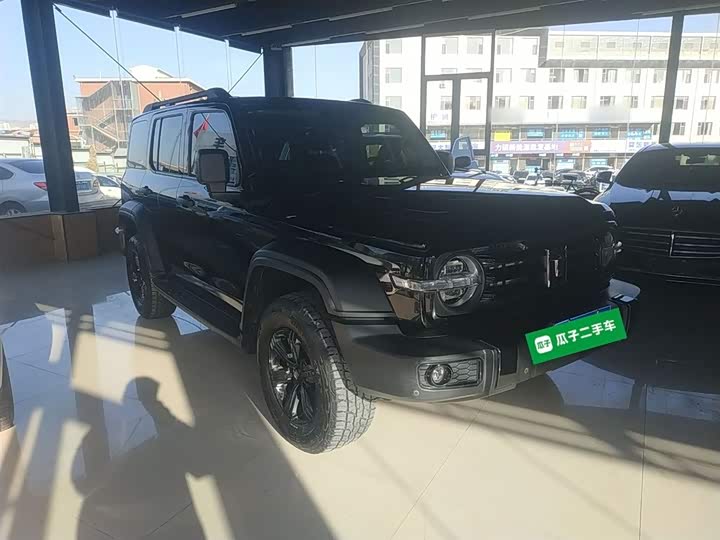 Фото 4 - Tank 300