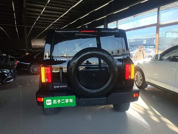 Фото 6 - Tank 300