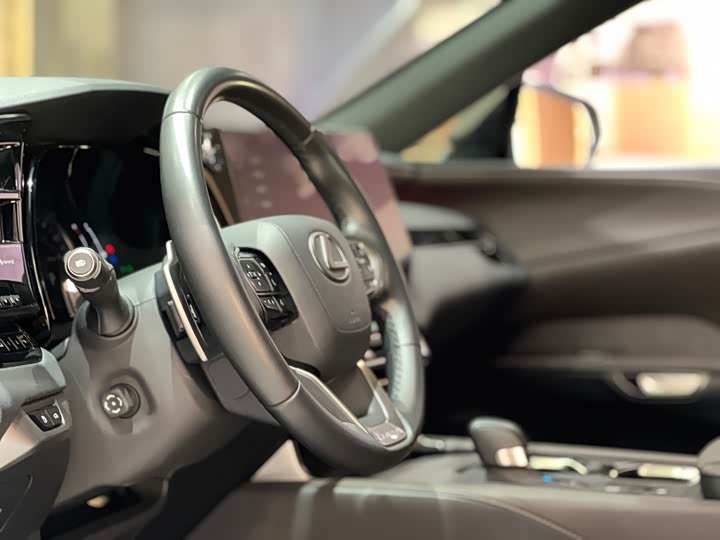 Фото 11 - Lexus RX