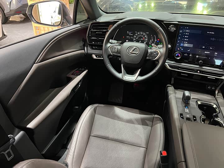 Фото 15 - Lexus RX