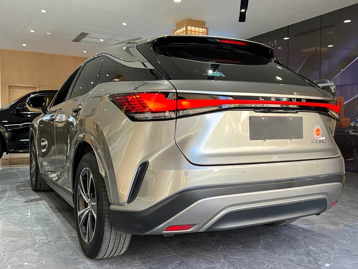 Фото 4 - Lexus RX