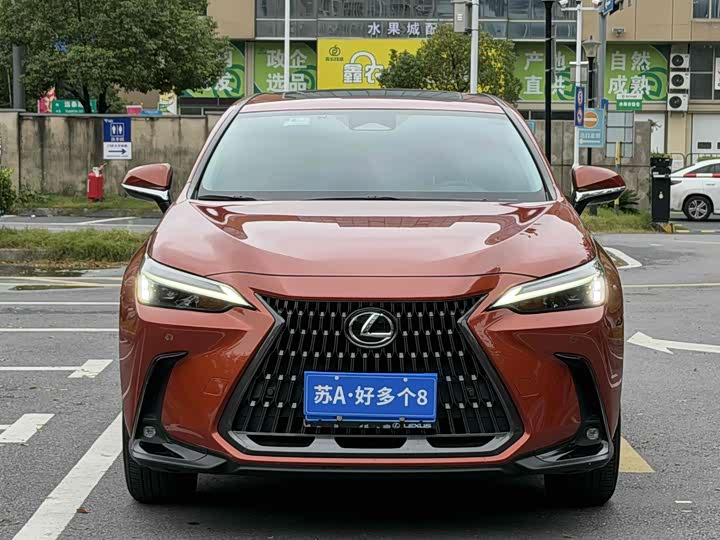 Фото 2 - Lexus NX