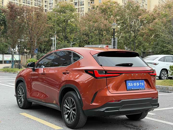 Фото 6 - Lexus NX