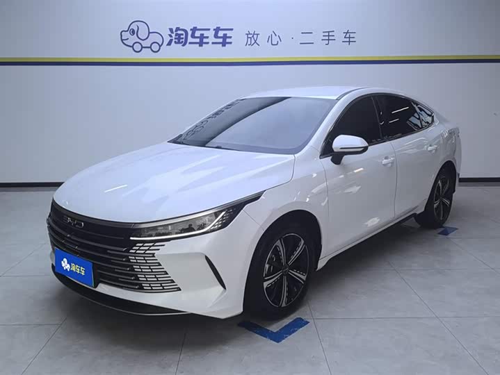 Фото 1 - BYD Destroyer 05