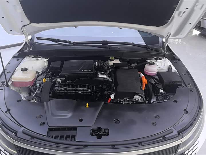 Фото 10 - BYD Destroyer 05