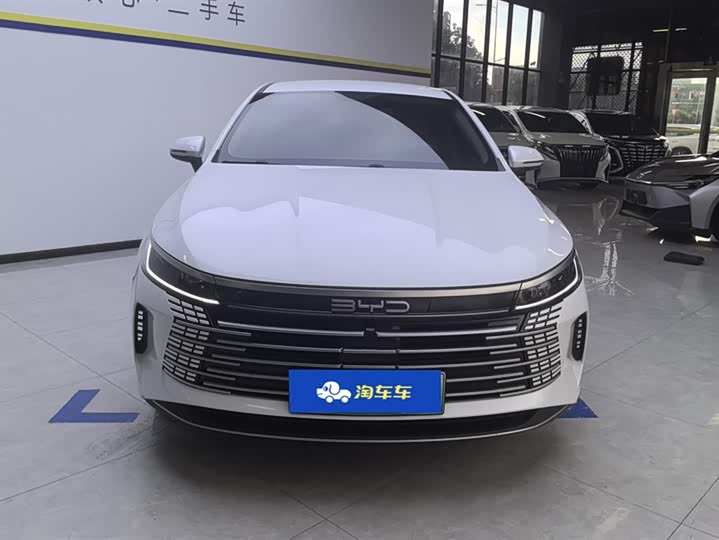 Фото 2 - BYD Destroyer 05