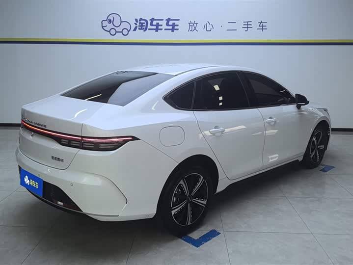 Фото 3 - BYD Destroyer 05