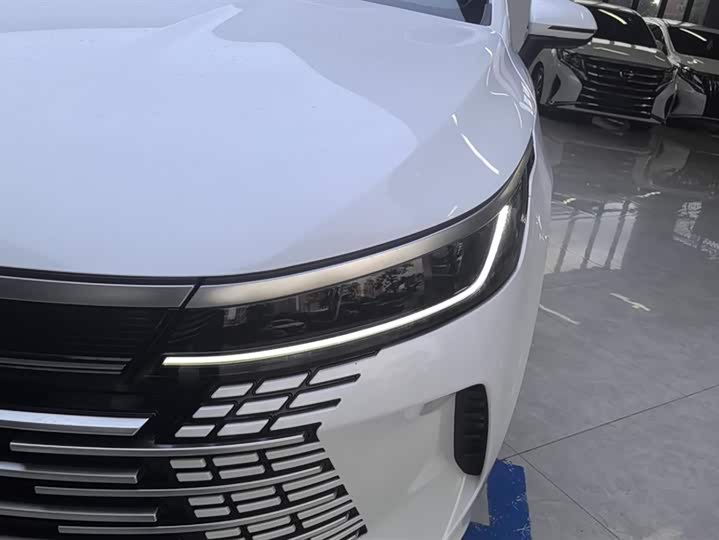 Фото 5 - BYD Destroyer 05