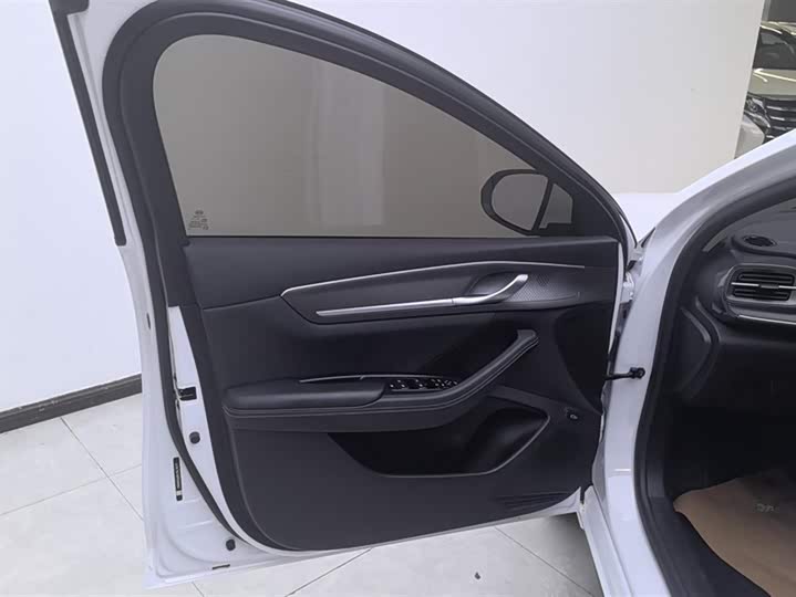 Фото 7 - BYD Destroyer 05