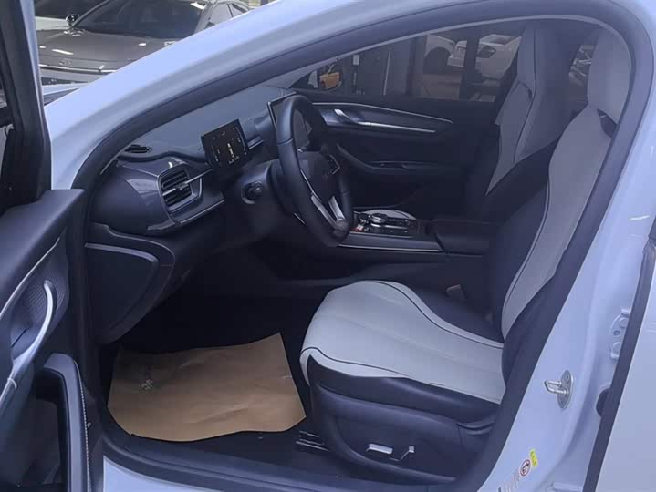 Фото 9 - BYD Destroyer 05