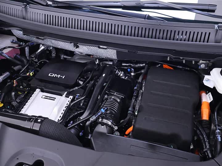 Фото 27 - BYD Xia