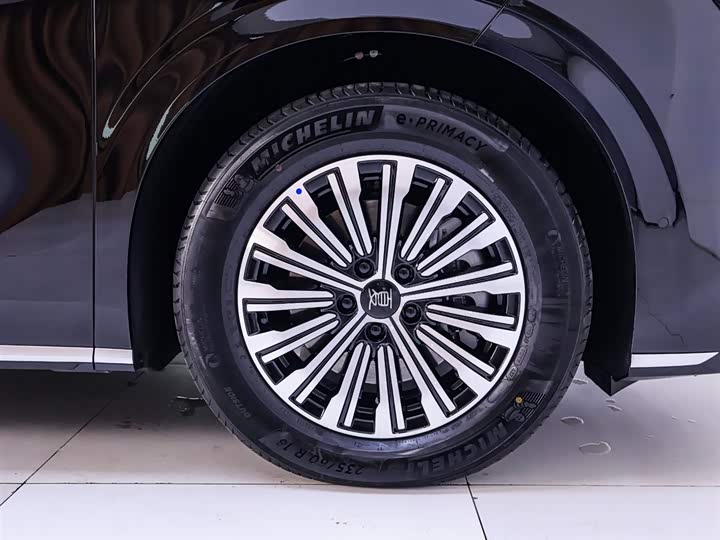 Фото 6 - BYD Xia