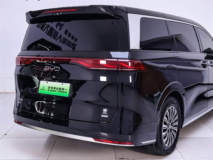 Фото 8 - BYD Xia