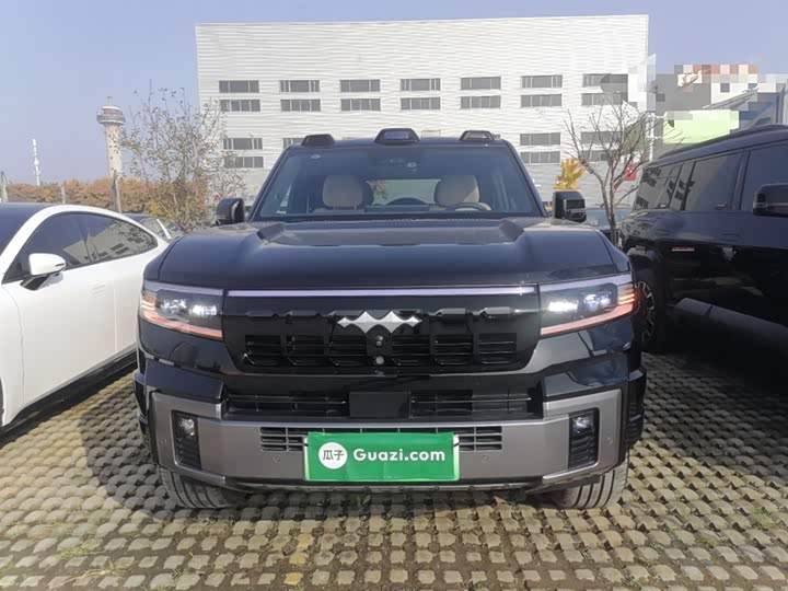 Фото 3 - BYD FangChengBao Leopard 8