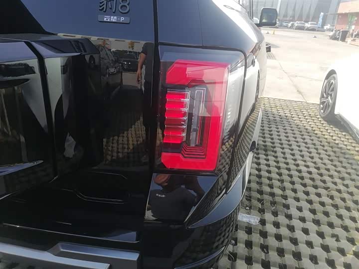 Фото 8 - BYD FangChengBao Leopard 8