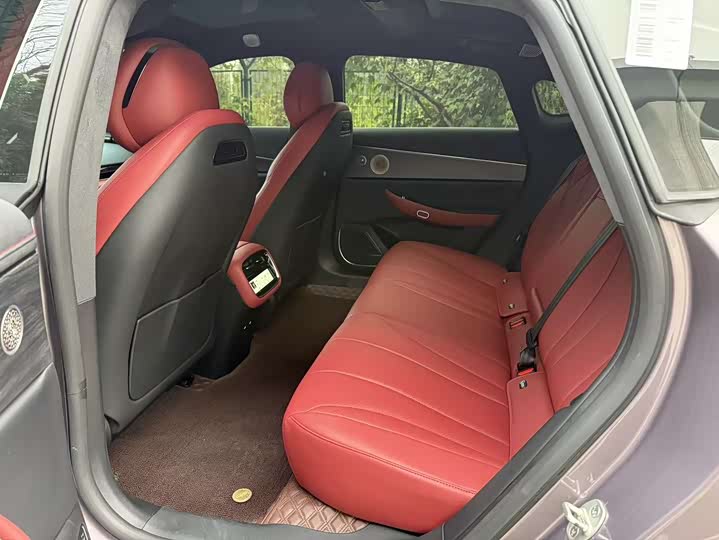 Фото 14 - Exeed Sterra ES