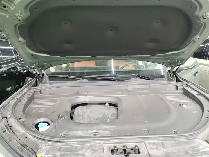 Фото 20 - Wey Lanshan