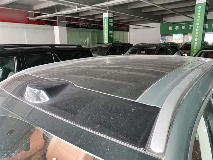 Фото 27 - Wey Lanshan