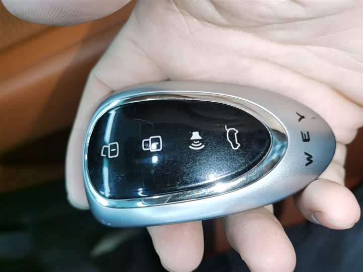 Фото 9 - Wey Lanshan