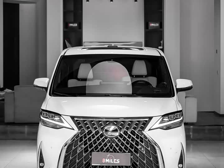 Фото 2 - Lexus LM