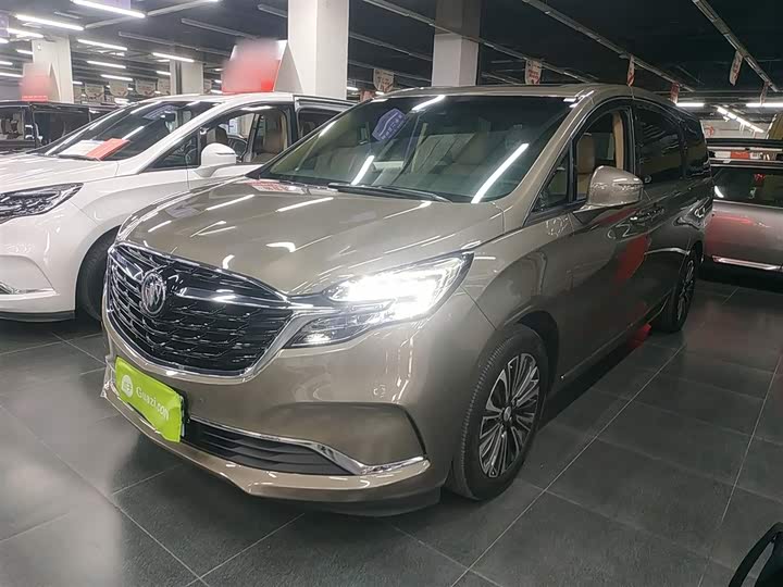 Фото 1 - Buick GL8 ES