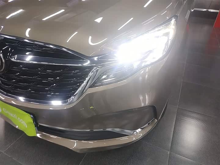 Фото 24 - Buick GL8 ES