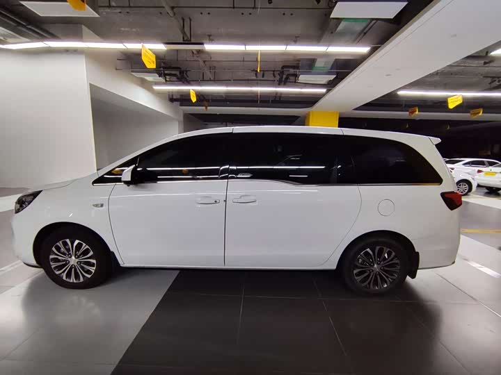 Фото 3 - Buick GL8 ES