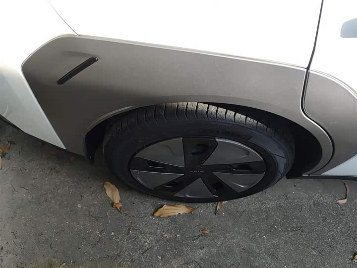 Фото 26 - GAC Aion Y