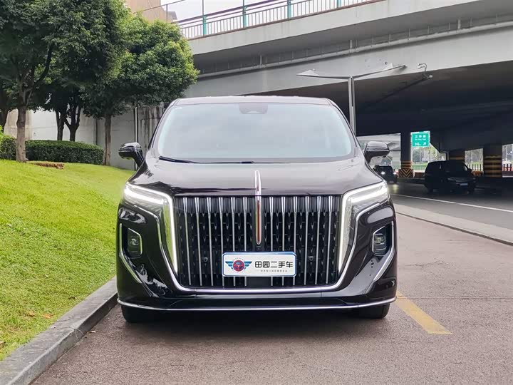 Фото 2 - Hongqi HQ9