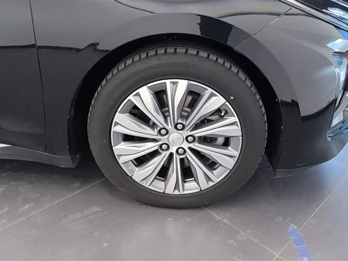 Фото 6 - Hongqi E-QM5