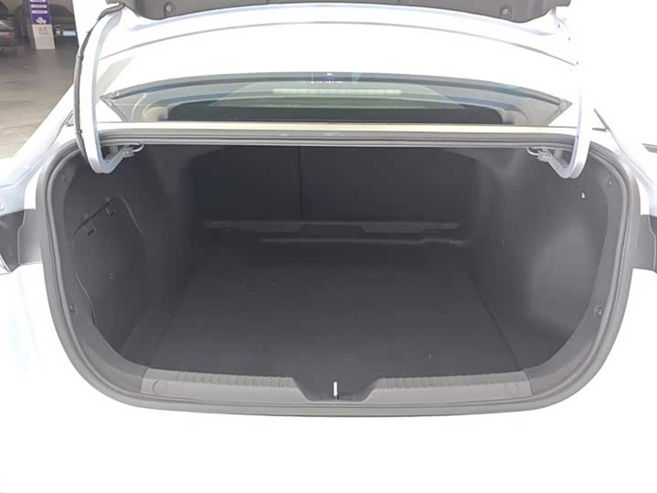 Фото 4 - GAC Trumpchi Empow R