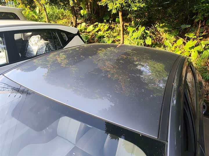 Фото 27 - BYD Qin Plus