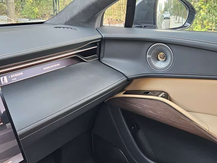 Фото 15 - Lotus Eletre