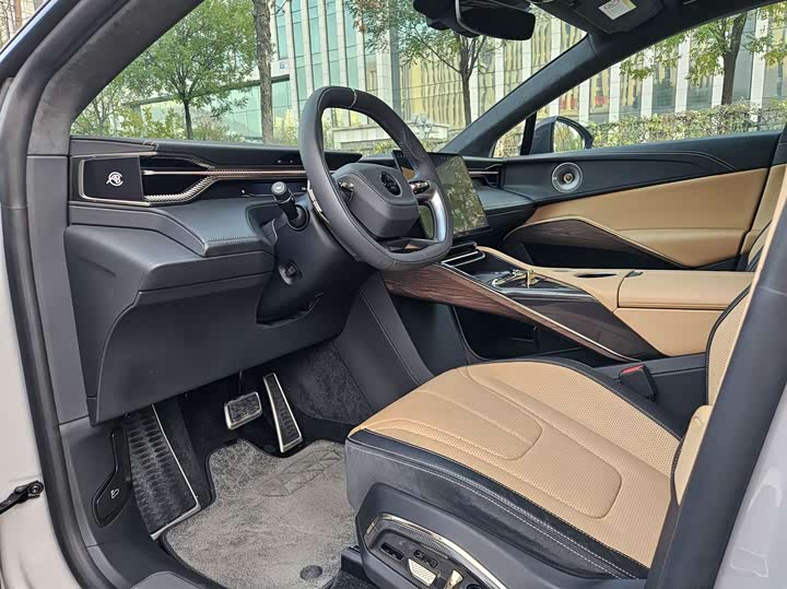 Фото 7 - Lotus Eletre