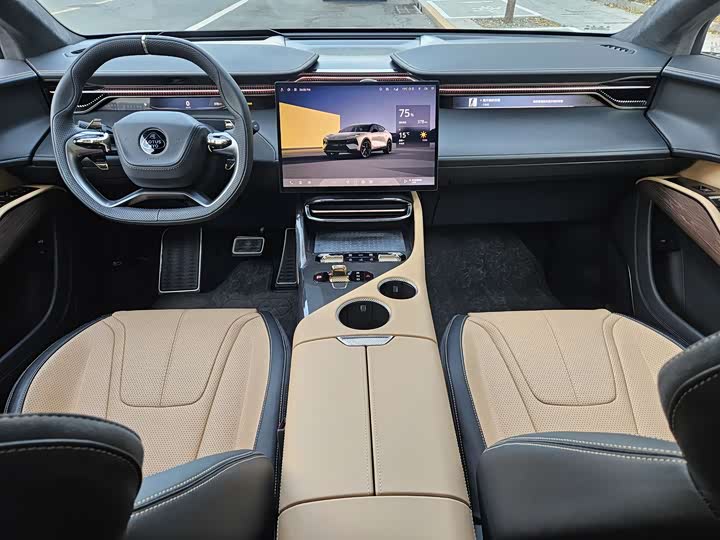 Фото 8 - Lotus Eletre