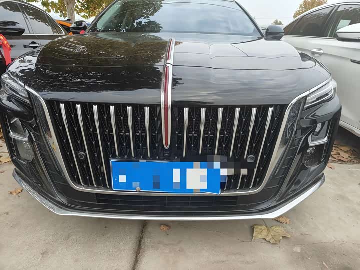 Фото 2 - Hongqi H5