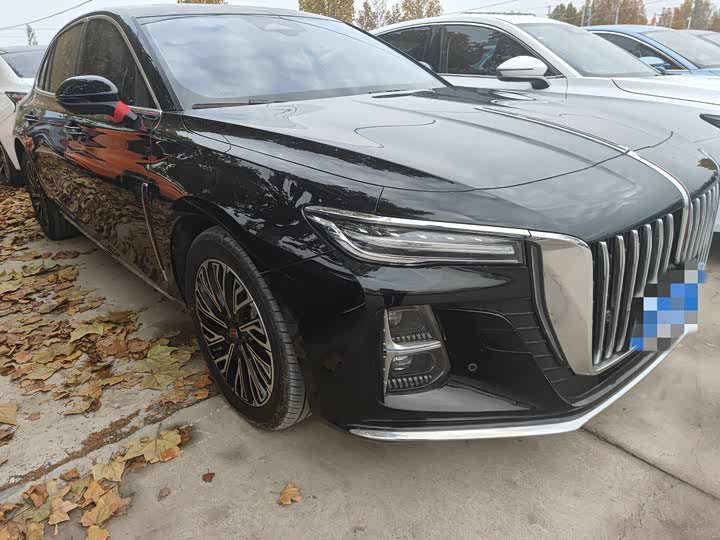 Фото 3 - Hongqi H5