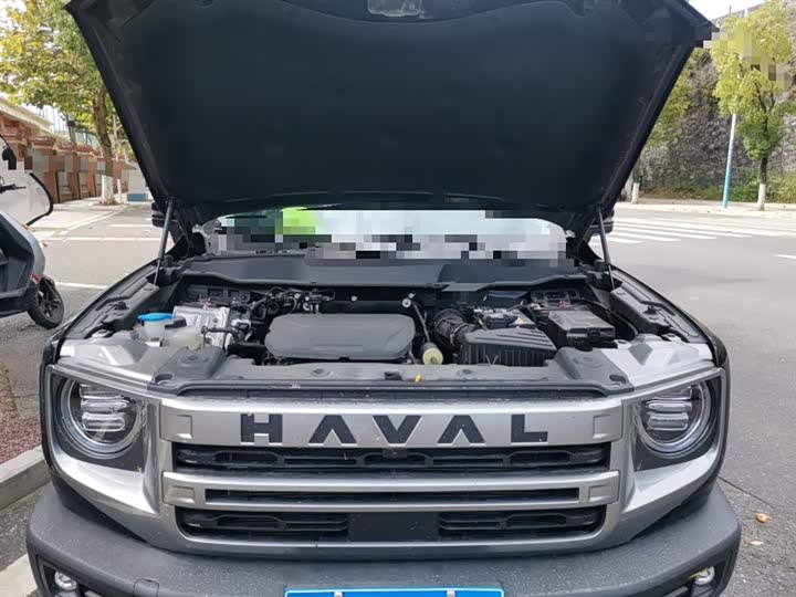 Фото 11 - Haval Dargo