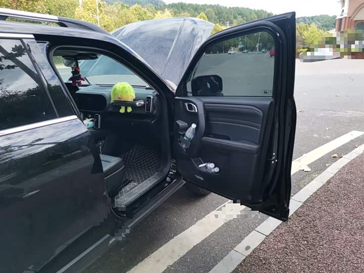 Фото 20 - Haval Dargo