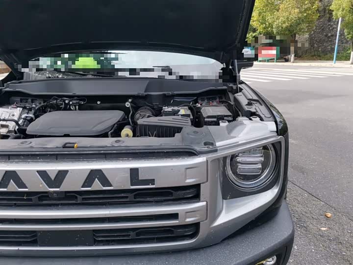 Фото 21 - Haval Dargo