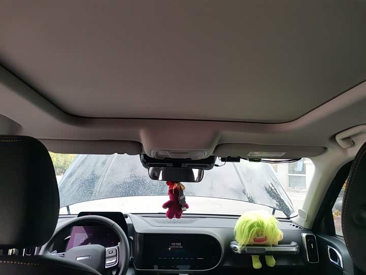 Фото 9 - Haval Dargo