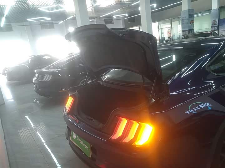 Фото 19 - Ford Mustang