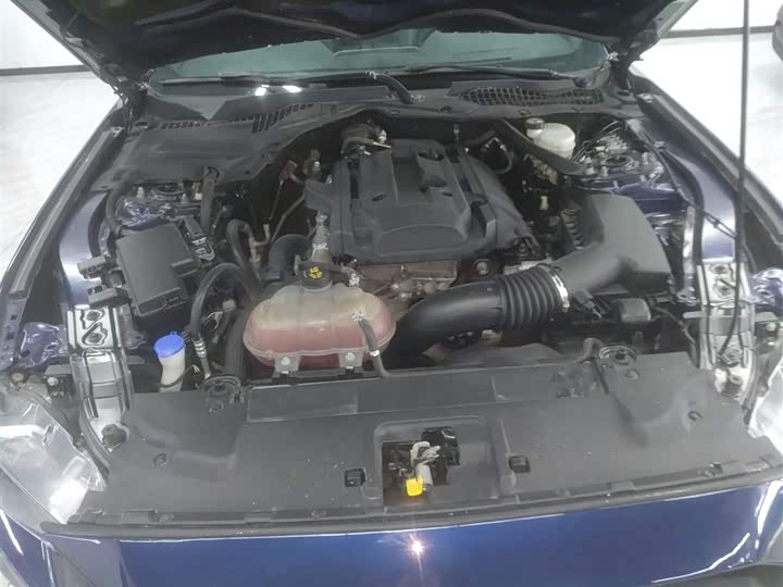 Фото 20 - Ford Mustang