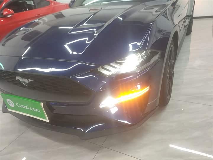 Фото 24 - Ford Mustang