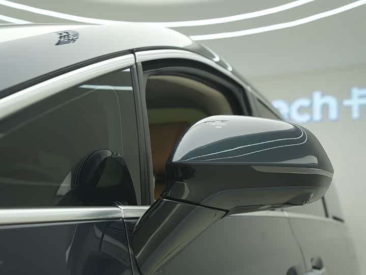 Фото 10 - Denza D9