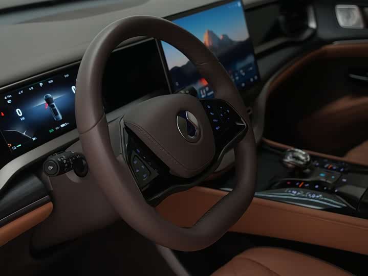 Фото 14 - Denza D9