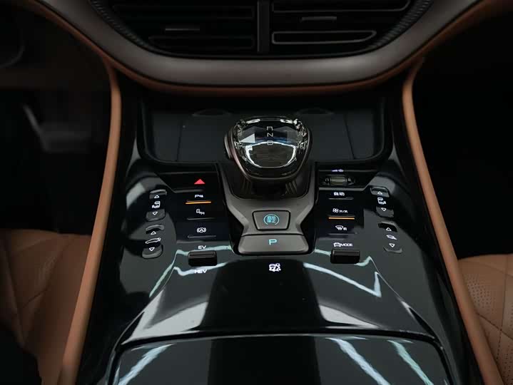 Фото 17 - Denza D9