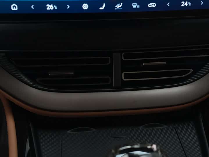 Фото 18 - Denza D9